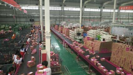 2018年河南外貿首破5500億元！河南商務經濟“家底”豐厚，技術進出口成新亮點